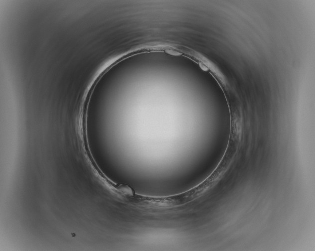 X0000110690959200906121223