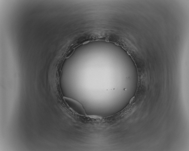 X0000110690961200906121223