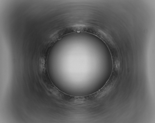 X0000110690964200906121223