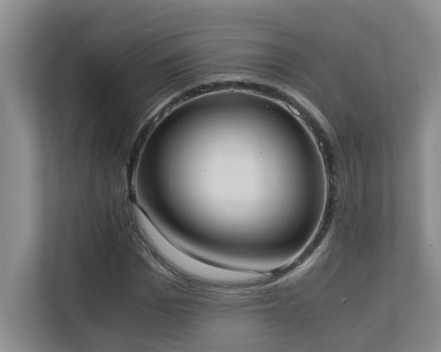 X0000110690969200906121223