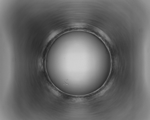 X0000110690970200906121223