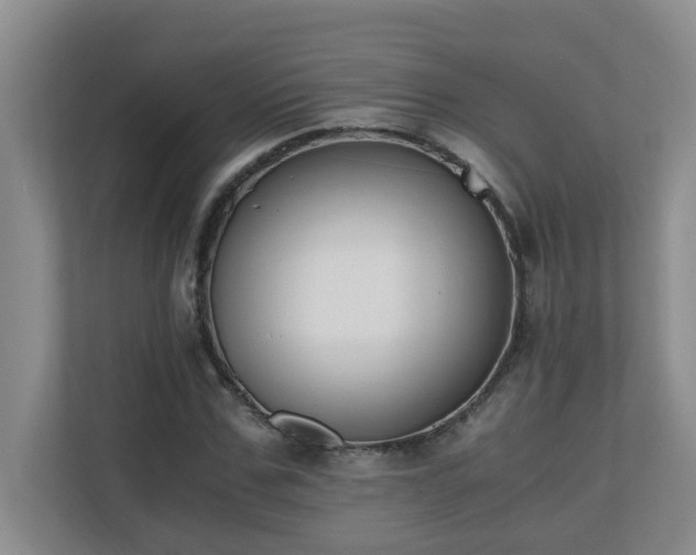 X0000110690971200906121223