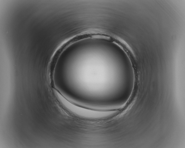 X0000110690973200906121222