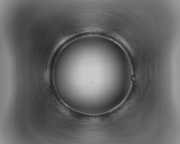 X0000110690975200906121222