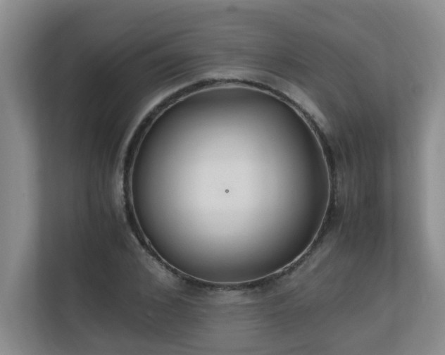 X0000110690976200906121222