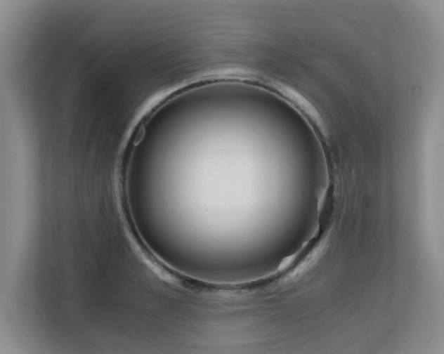 X0000110690989200906121222