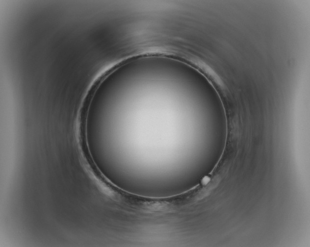 X0000110690991200906121222