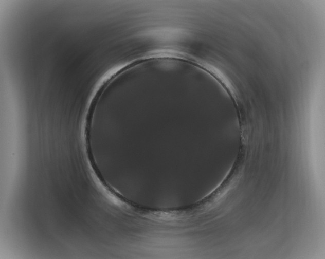 X0000110690995200906121222