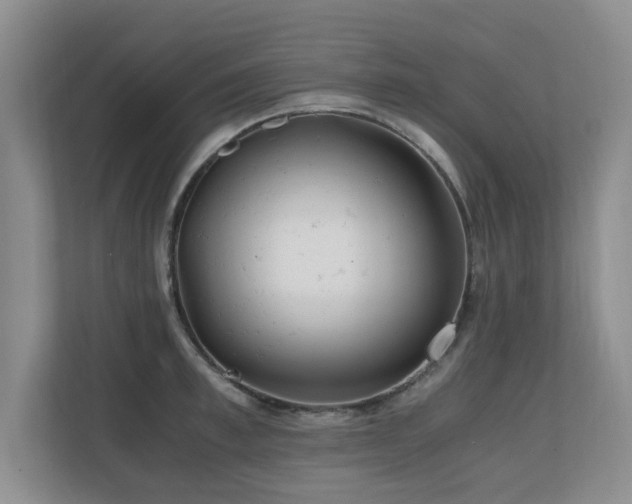 X0000110690997200906121222