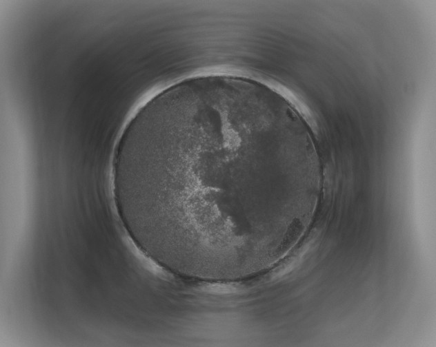 X0000110690998200906121222