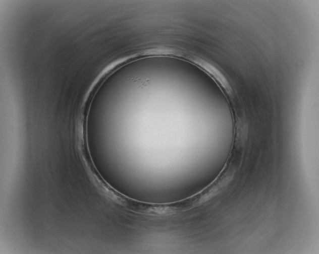 X0000110691000200906121222