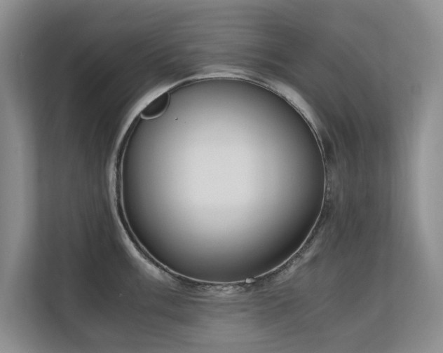 X0000110691003200906121222