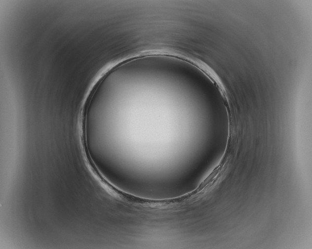 X0000110691005200906121222