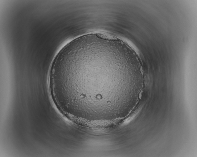 X0000110691007200906121222