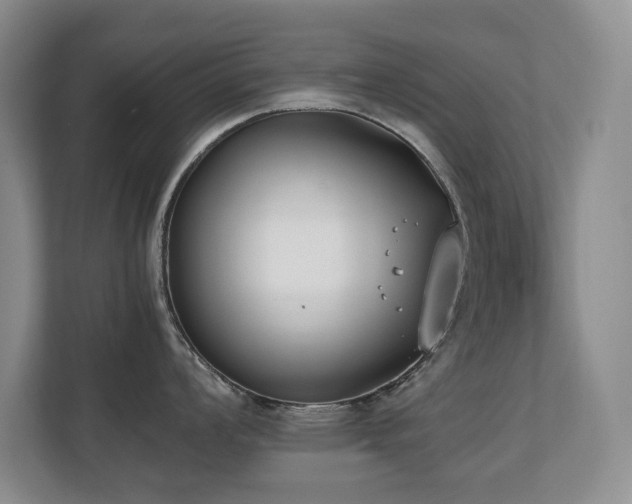 X0000110691008200906121222