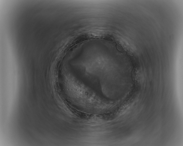 X0000110691009200906121221