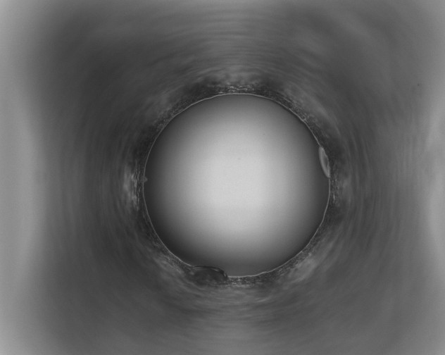 X0000110691010200906121221