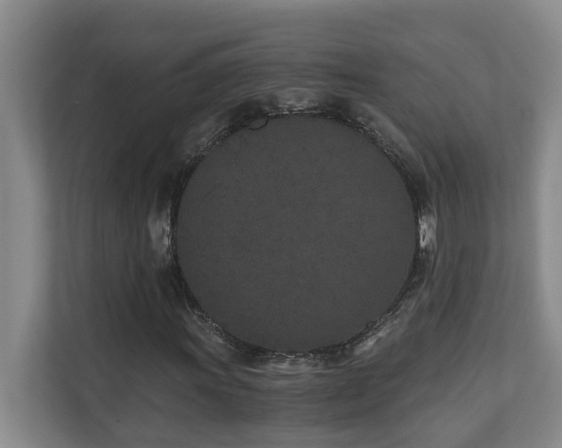 X0000110691011200906121221