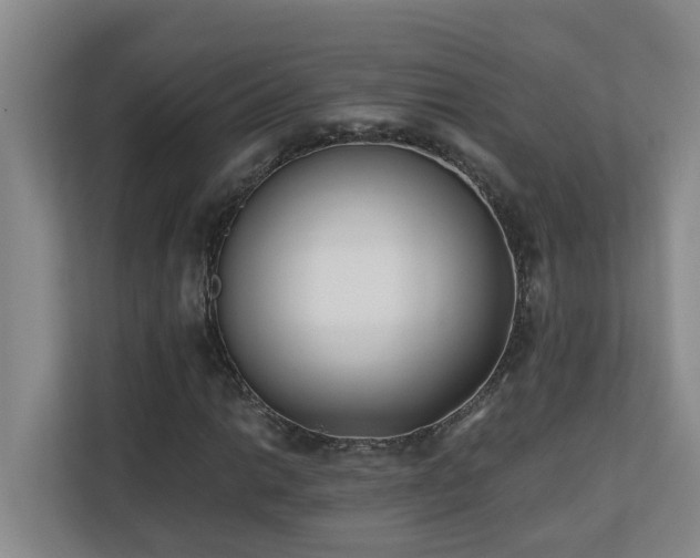 X0000110691014200906121221