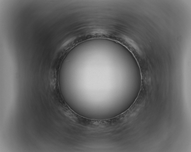 X0000110691015200906121221