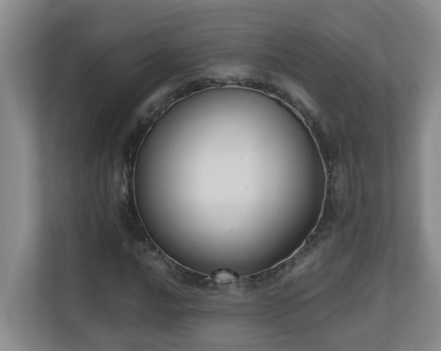 X0000110691016200906121221