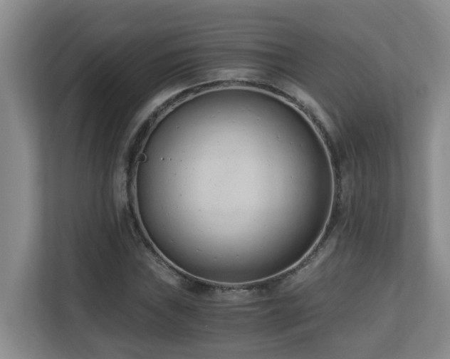 X0000110691019200906121222