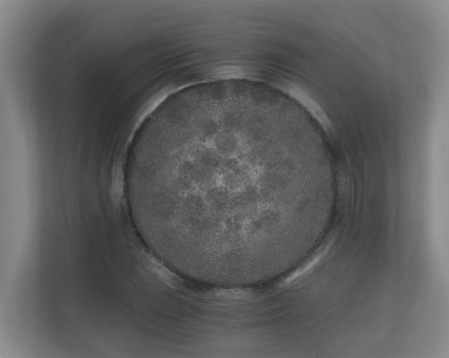 X0000110691023200906121222