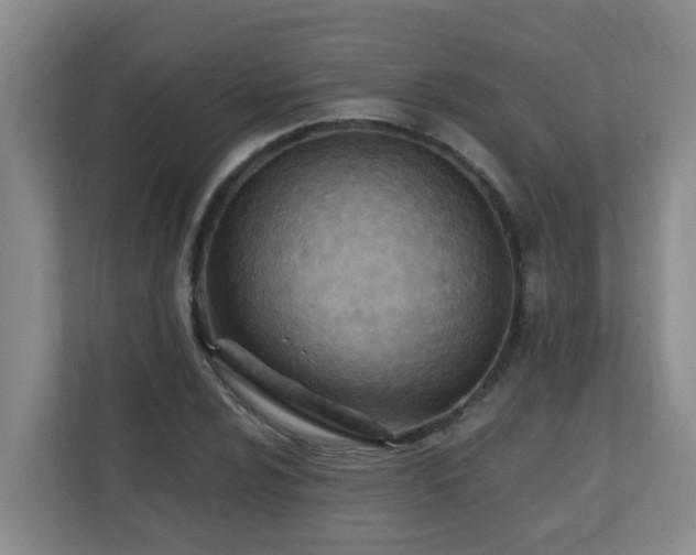 X0000110691024200906121222