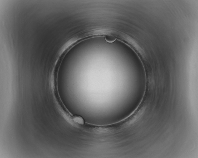 X0000110691034200906121222