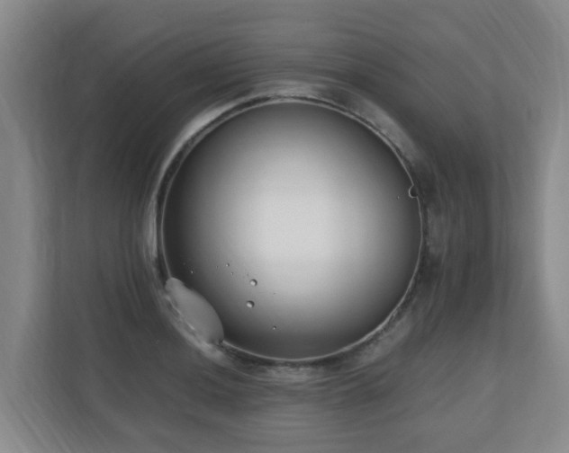 X0000110691036200906121222