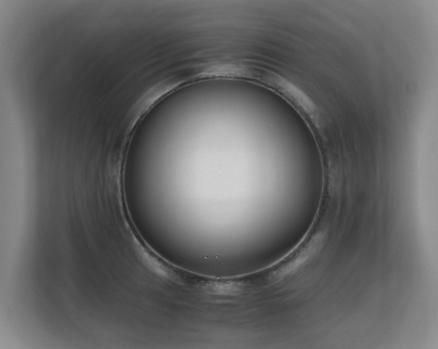 X0000110691041200906121222