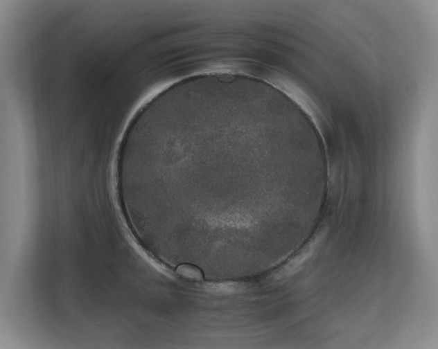 X0000110691045200906121222