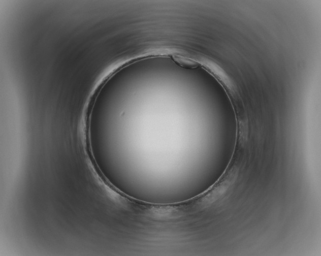 X0000110691046200906121222