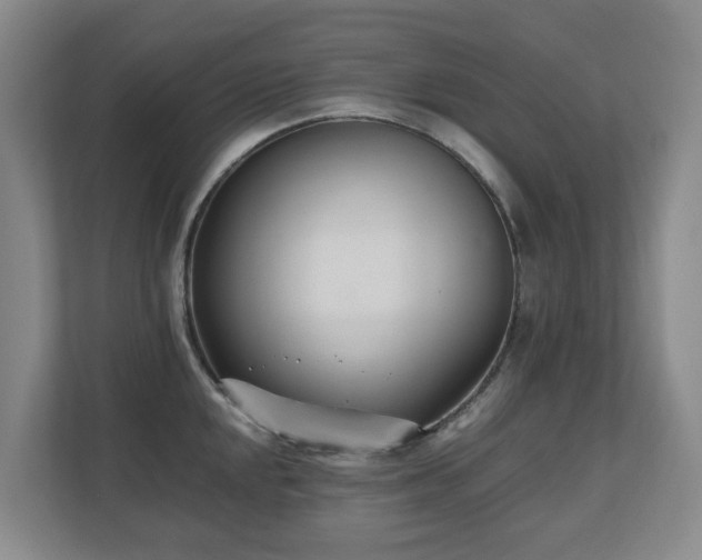 X0000110691048200906121222