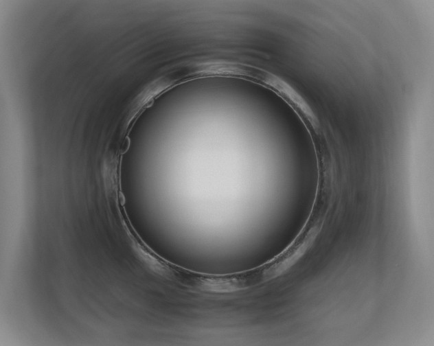 X0000110691049200906121222