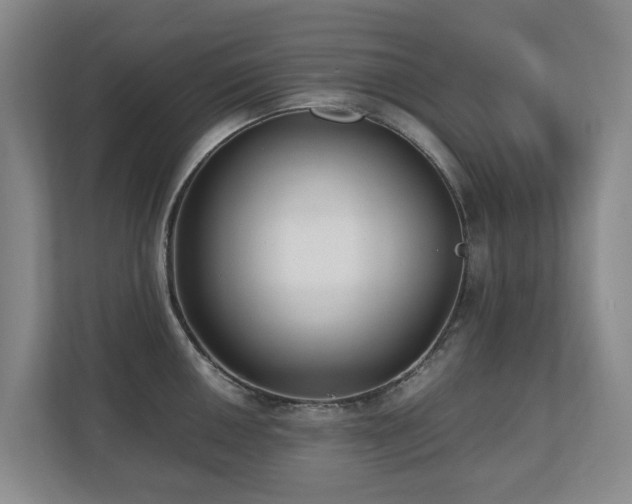 X0000110691050200906121222