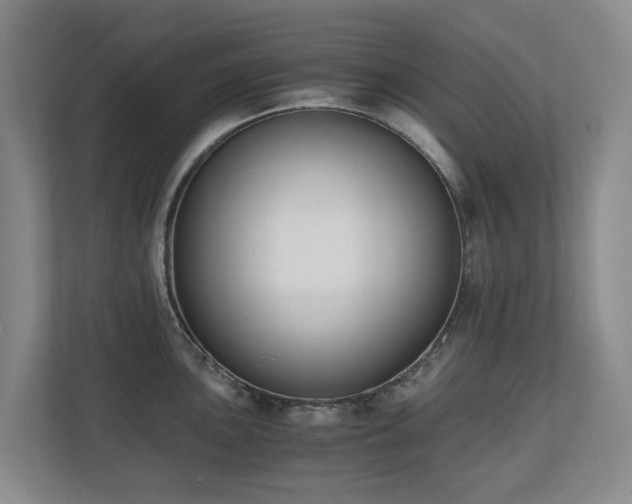 X0000110691051200906121222