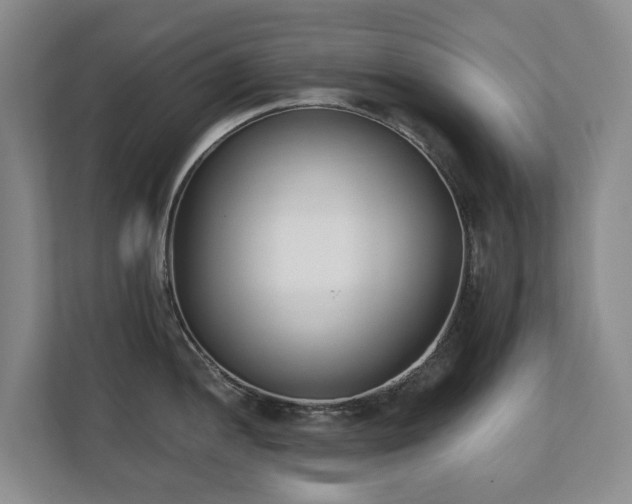 X0000110691052200906121222