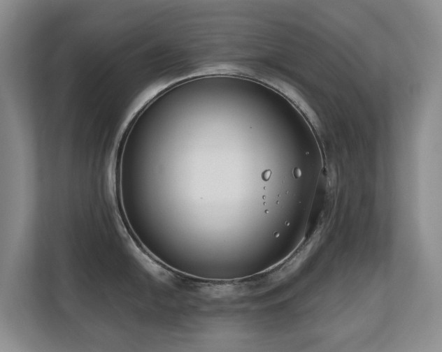 X0000110691054200906121222