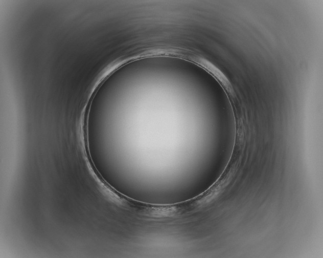 X0000110691055200906121222