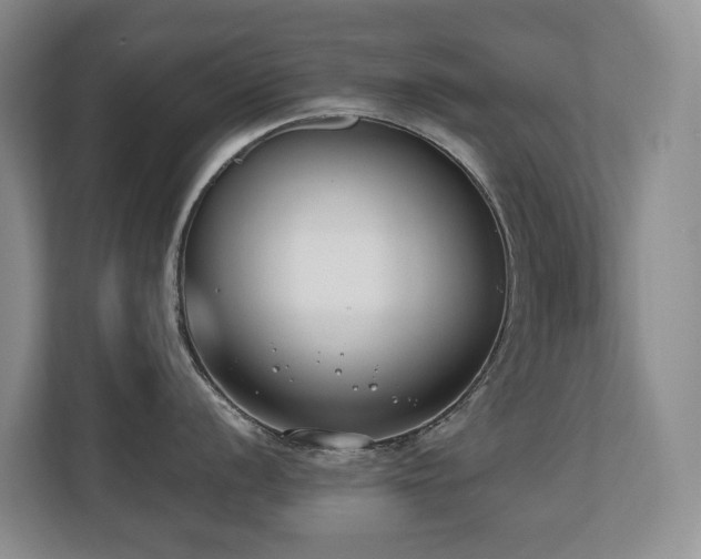 X0000110691056200906121222