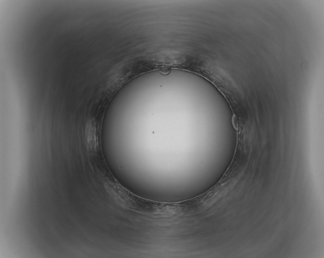 X0000110691058200906121221