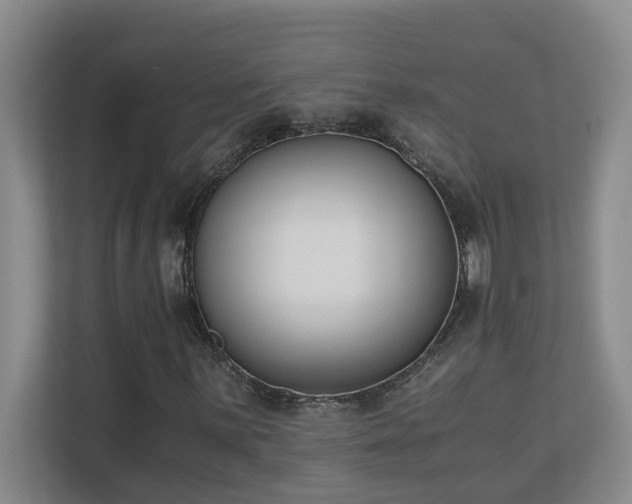 X0000110691059200906121221