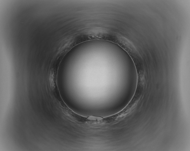 X0000110691060200906121221