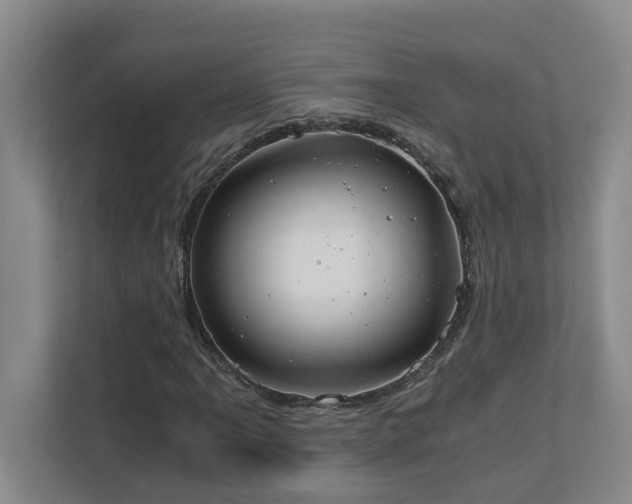 X0000110691061200906121221