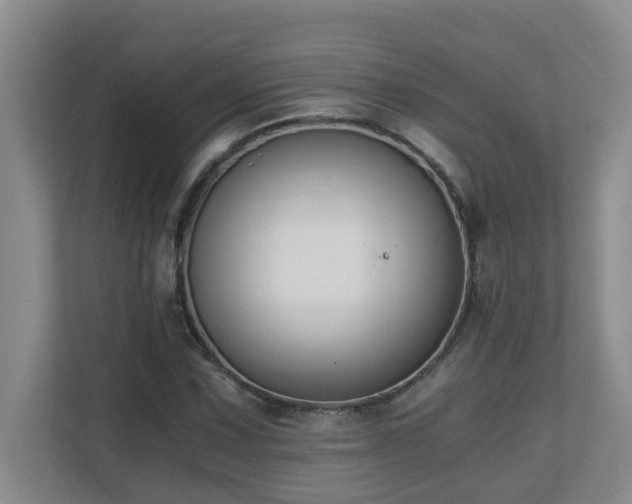 X0000110691067200906121221