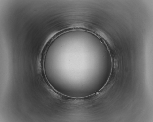 X0000110691068200906121221