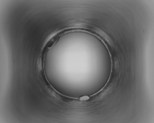 X0000110691069200906121221