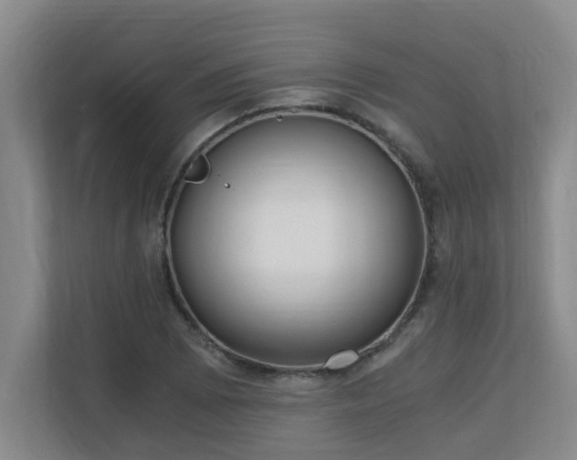 X0000110691073200906121221