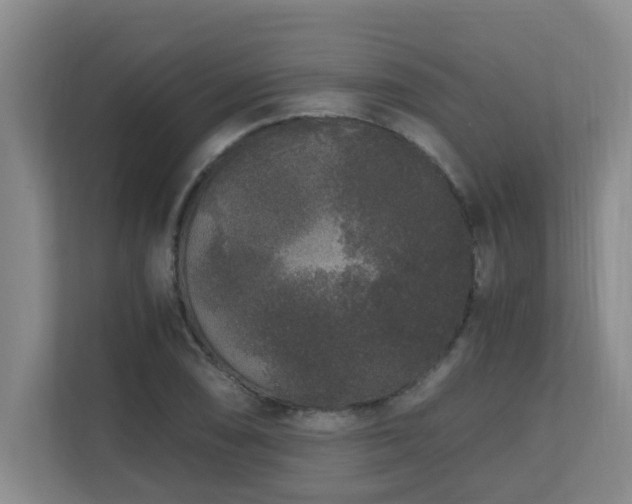 X0000110691074200906121221